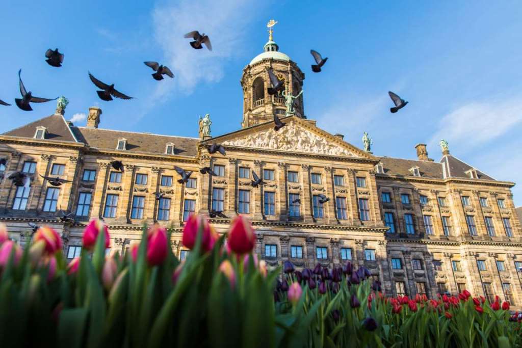 Картинки по запросу Королевский дворец амстердам фото