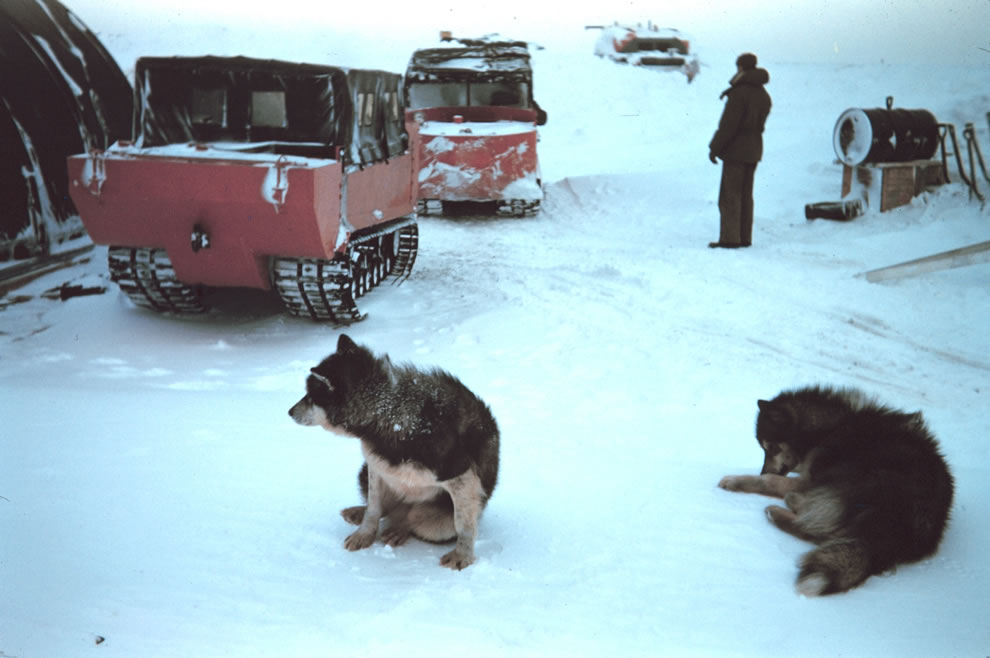 4. Арктическая экспедиция 1949 года. Передвижение производится на специальных вездеходах. В условиях низких температур для техники используется зимнее дизельное топливо. 