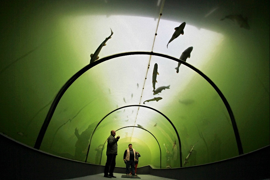 tunnel Modra-11