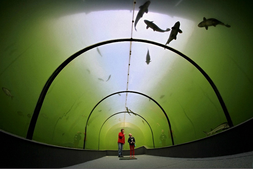tunnel Modra-3