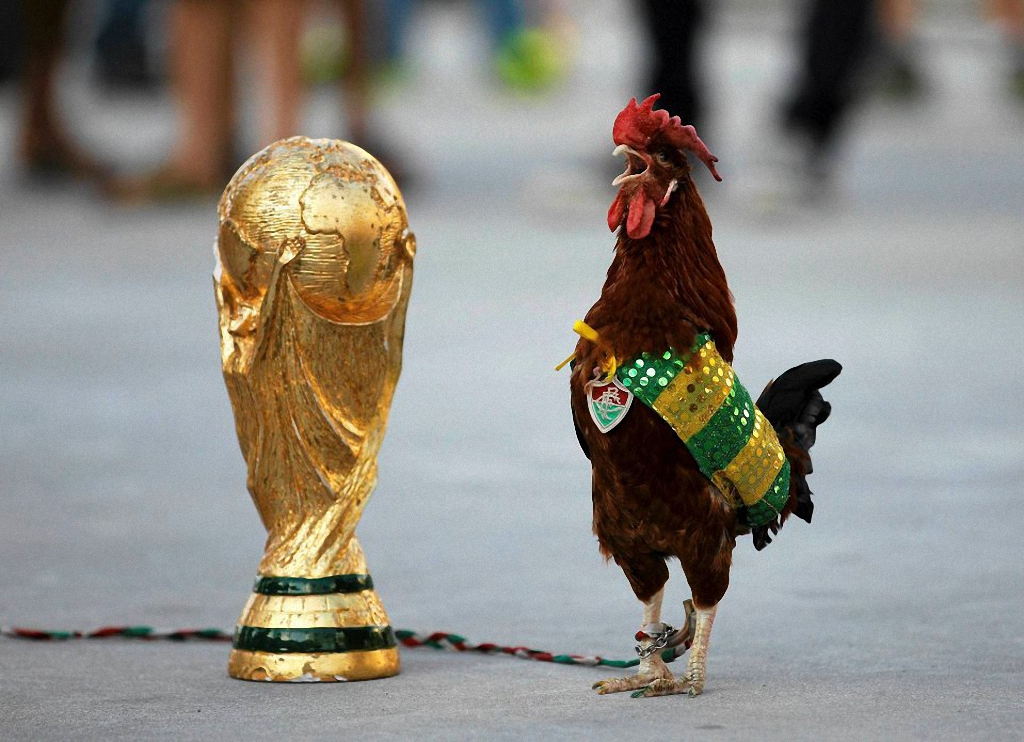 Лучшие фото с Чемпионата Мира по футболу-19