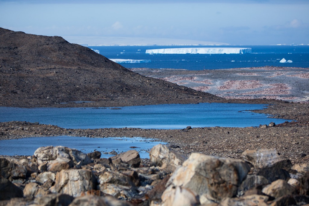 Эти фотографии навсегда изменят ваше представление об Антарктиде-8
