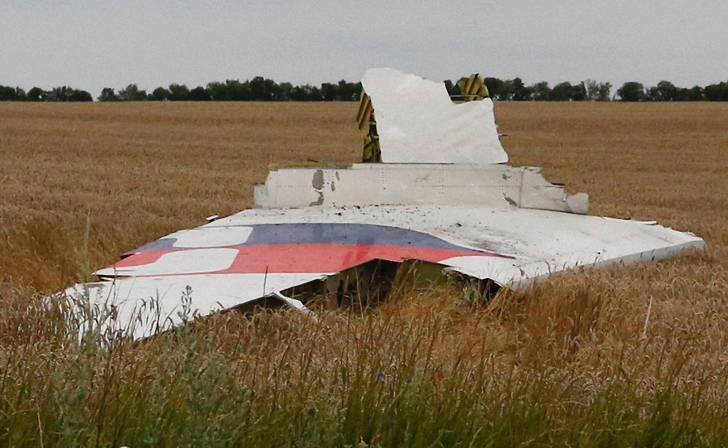 Катастрофа малазийского самолета в небе над Украиной-10