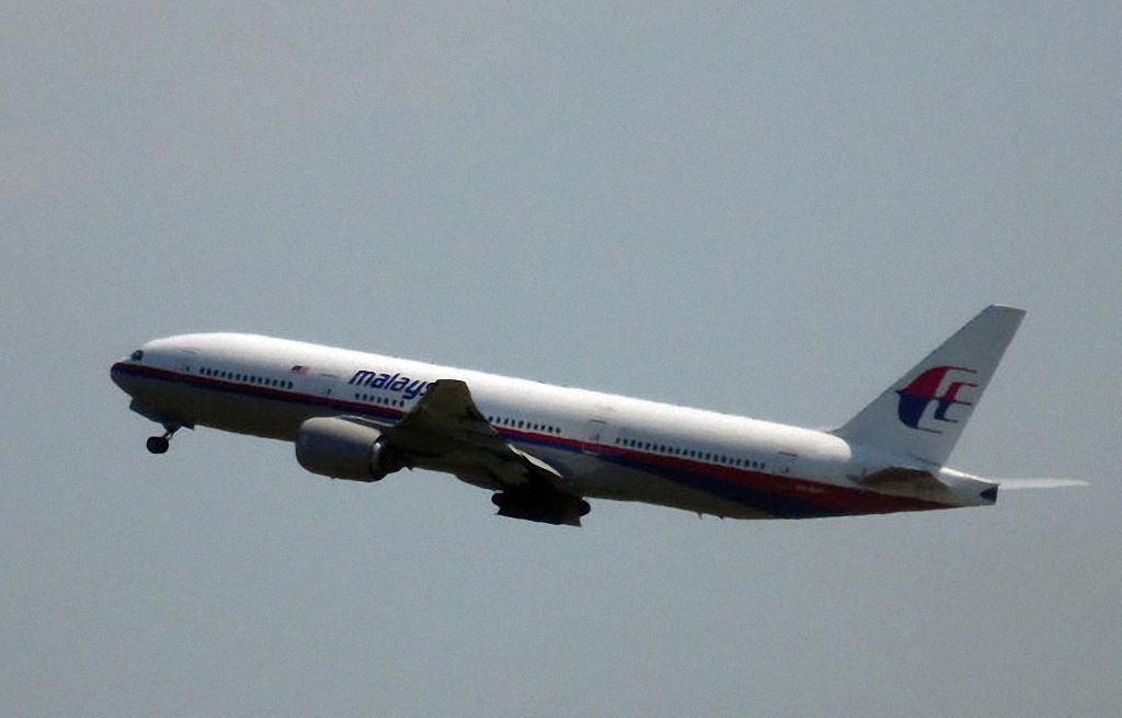 Катастрофа малазийского самолета в небе над Украиной-20