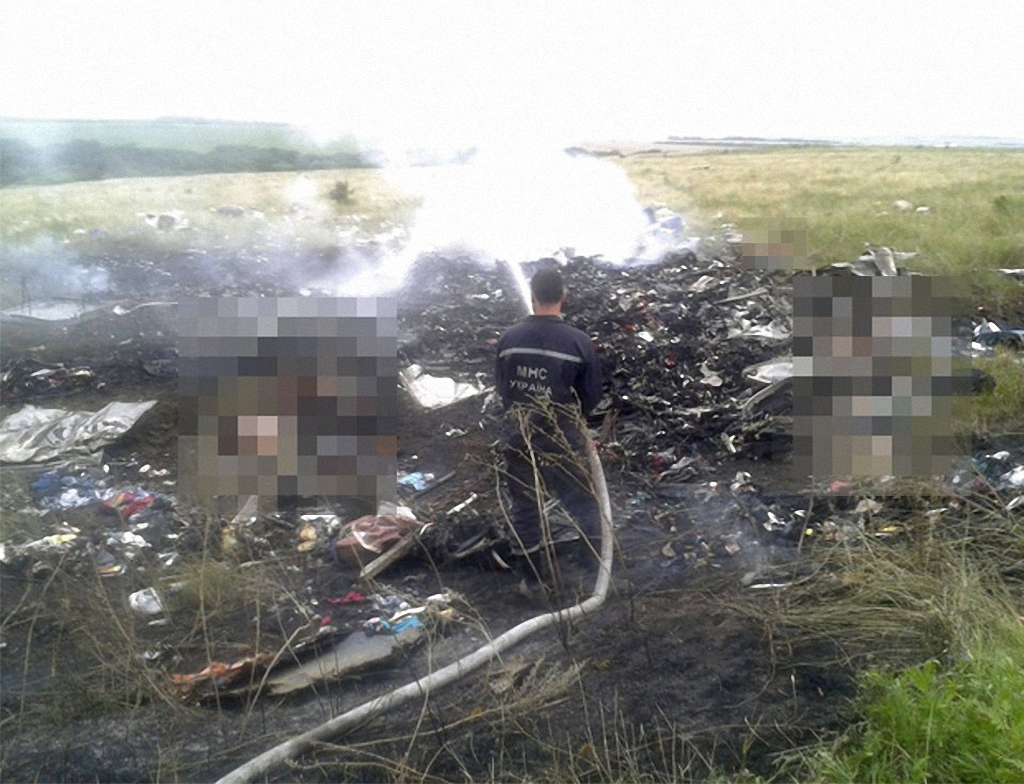 Катастрофа малазийского самолета в небе над Украиной-4