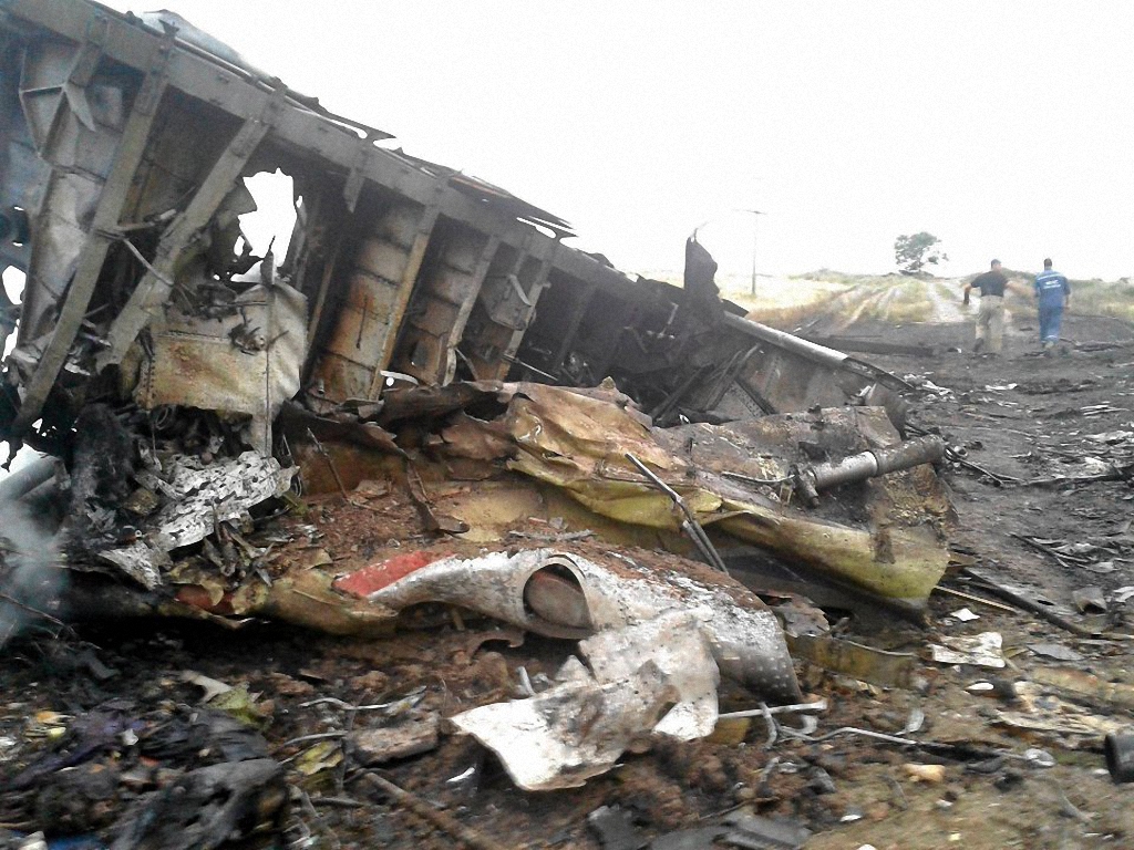 Катастрофа малазийского самолета в небе над Украиной-5