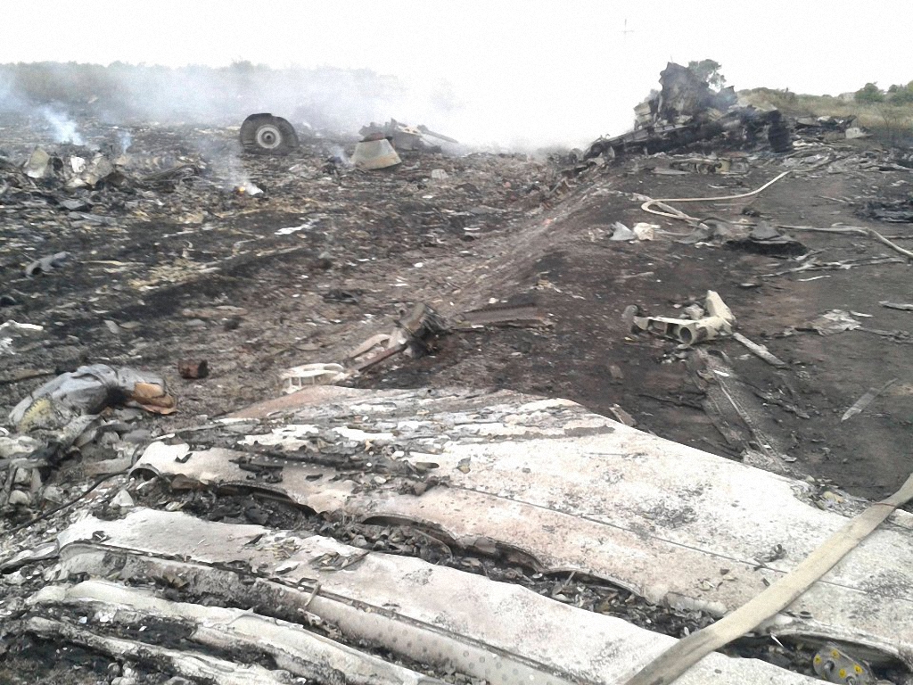 Катастрофа малазийского самолета в небе над Украиной-7