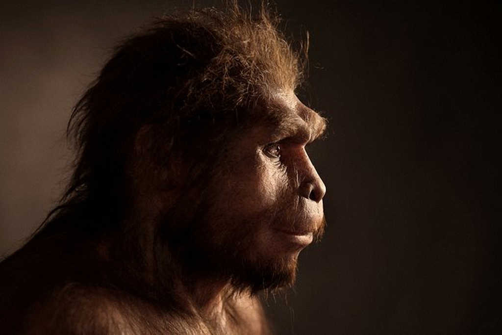 Доисторические люди жившие миллионы лет назад-8
