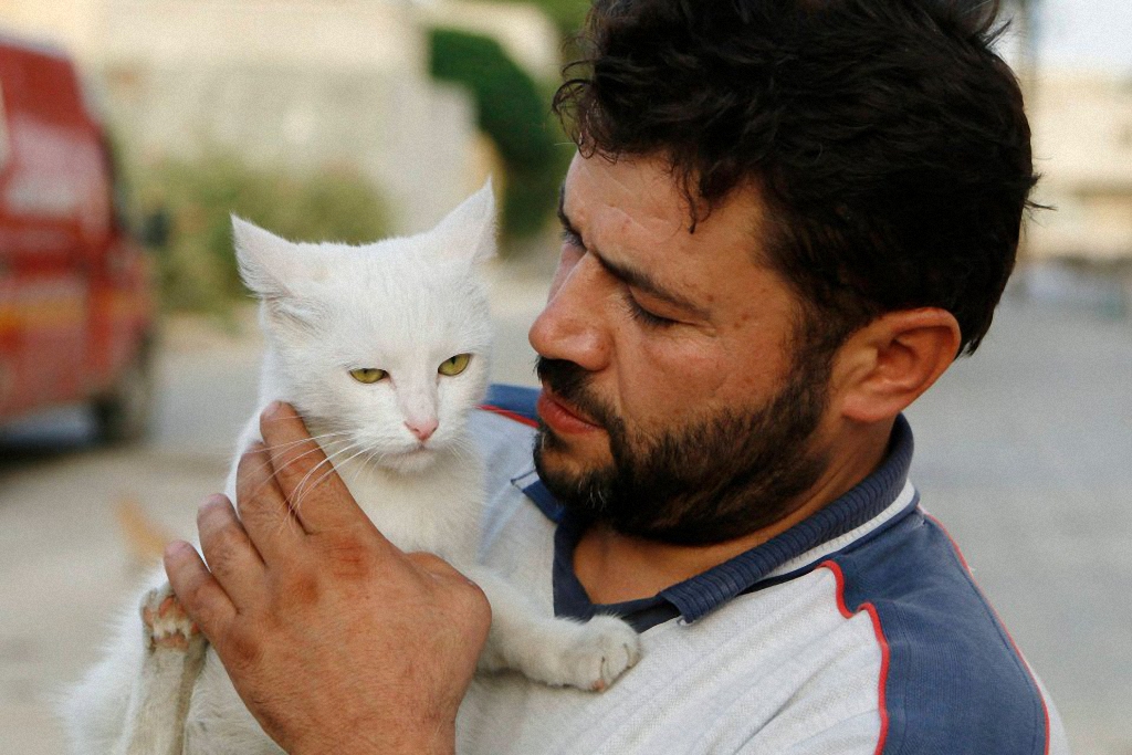 Водитель из Сирии спасает брошенных кошек-3