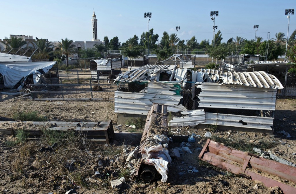 Жертвы войны - звери из зоопарка в Секторе Газа-7