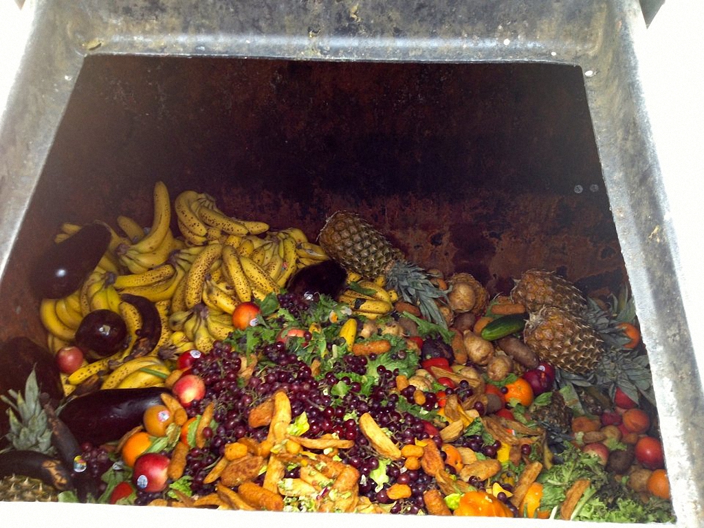 Мусорная инициатива или еда из мусорного бака-4