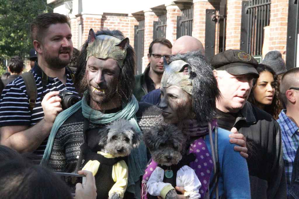 костюмированный парад собак-10