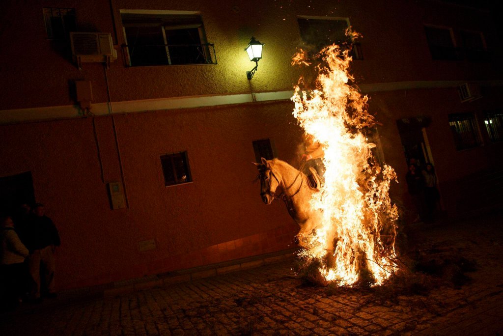 Luminarias - испанский фестиваль огня и животных-1
