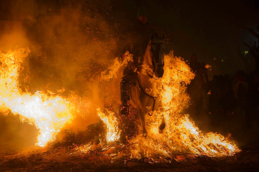 Luminarias - испанский фестиваль огня и животных-4