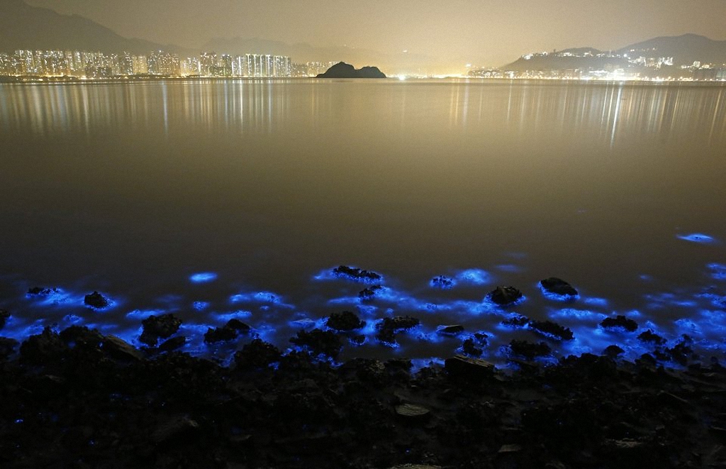 Таинственное свечение у берегов Гонконга-3