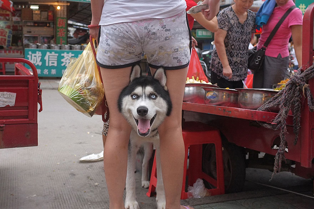 Забавные уличные фотографии из Китая-23