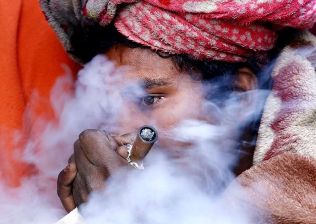 праздник марихуаны в индии