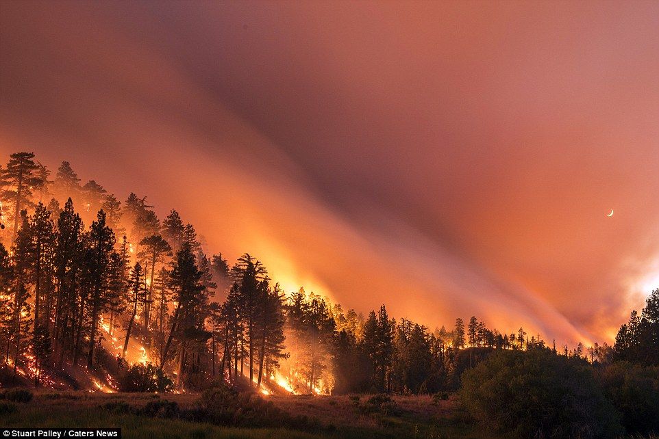 фотографии калифорнийских пожаров 12