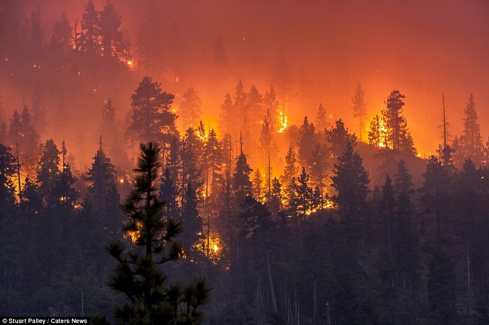 фотографии калифорнийских пожаров 14