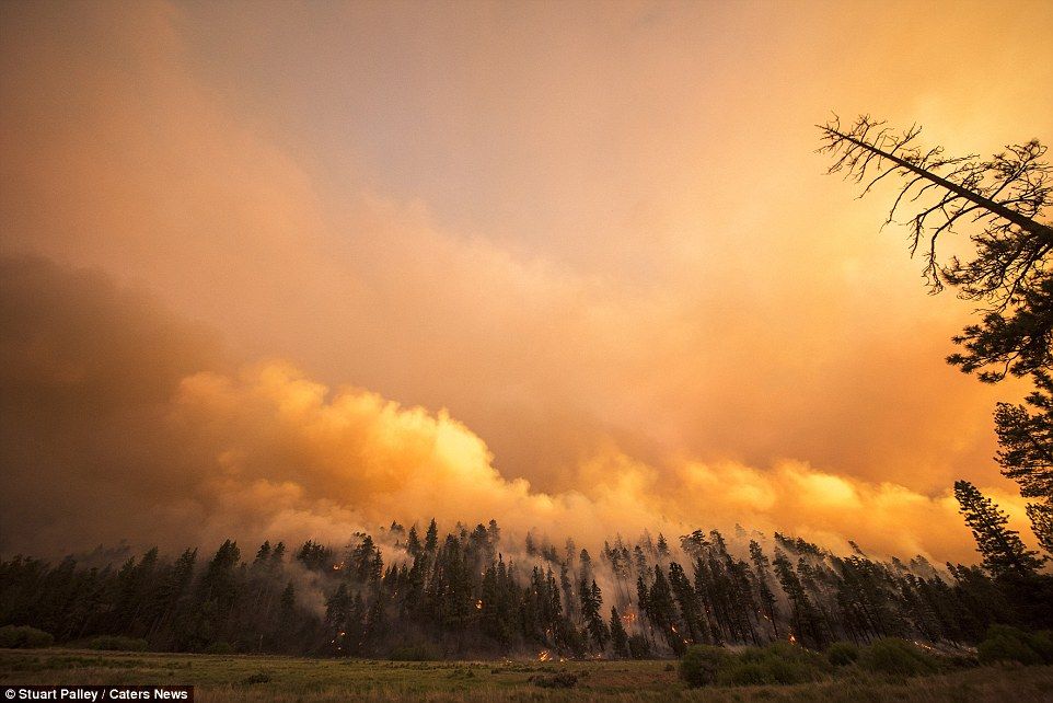 фотографии калифорнийских пожаров 15