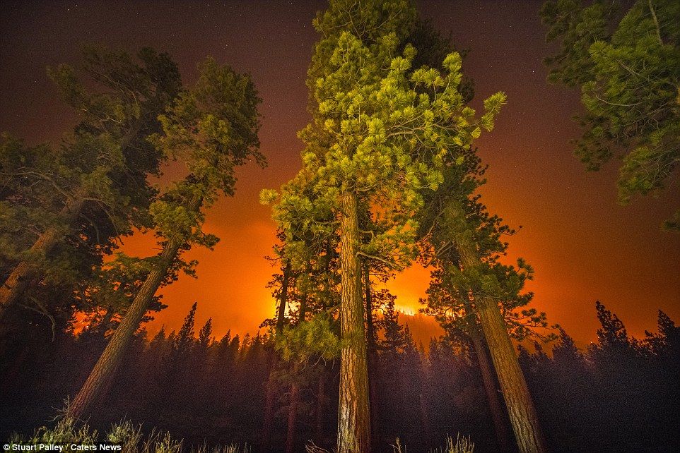 фотографии калифорнийских пожаров 19