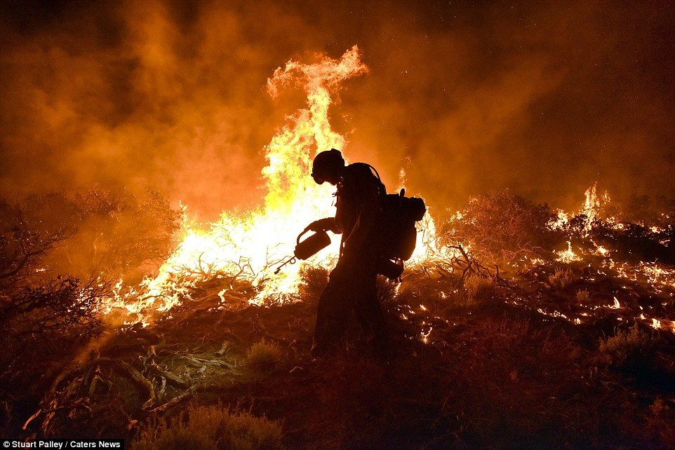 фотографии калифорнийских пожаров 5