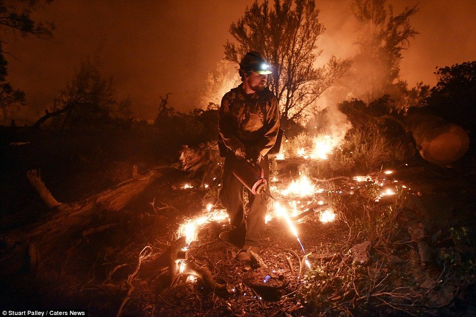 фотографии калифорнийских пожаров 9