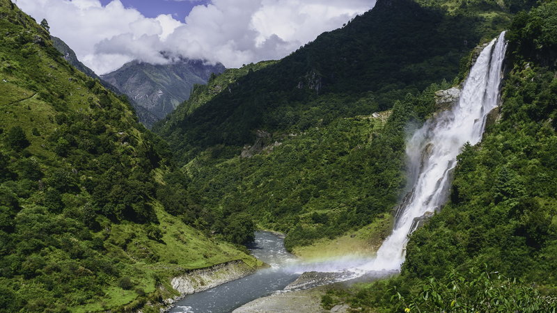 Более 200 новых видов животных и растений открыто в Гималаях-11