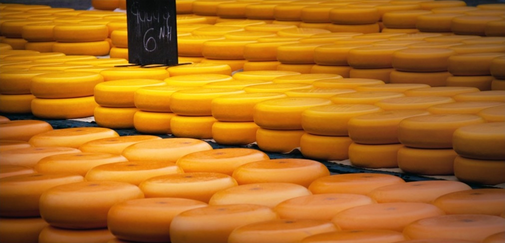 Почему сыр вреден 4