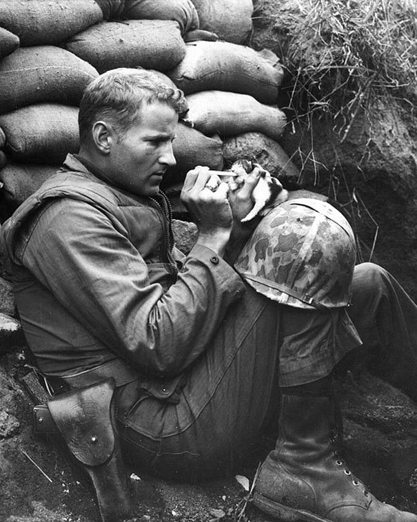 1. Солдат кормит котенка из пипетки. Несмотря на все ужасы войны, которую переживают и братья наши меньшие, всегда есть время для добрых поступков. 