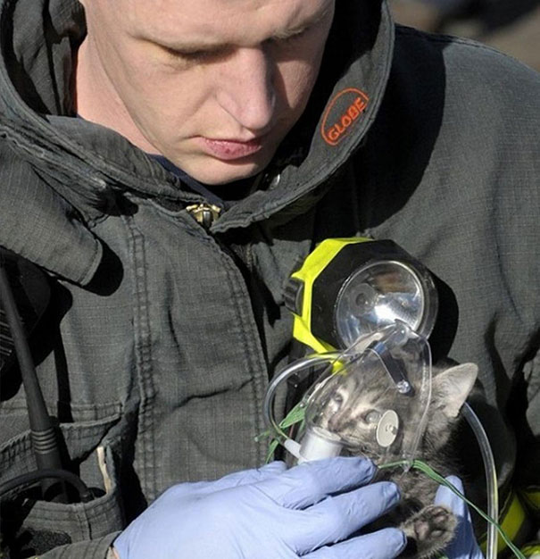 12. Пожарный, спас котенка из горящего дома. Он прикладывает к нему кислородную маску, чтобы котенок смог нормально дышать.