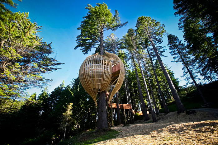 7. "Желтый Дом" на дереве, от Pacific Environments Architects Ltd. Дом расположен в Окленде, Новая Зеландия и является рестораном, построенным на 40-метровом дереве. Диаметр дерева у основания – 1,7 метра.