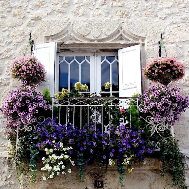 2. Некоторые балконы выглядят как цветочные оранжереи.