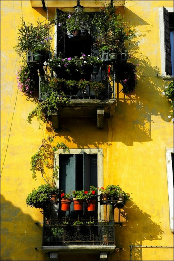 7. На некоторых балконах преобладают зеленые, нецветущие растения.