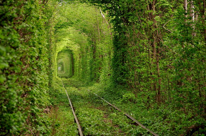 3. Туннель любви – Украина. Волшебное место, которое украинцы назвали «Туннелем любви».