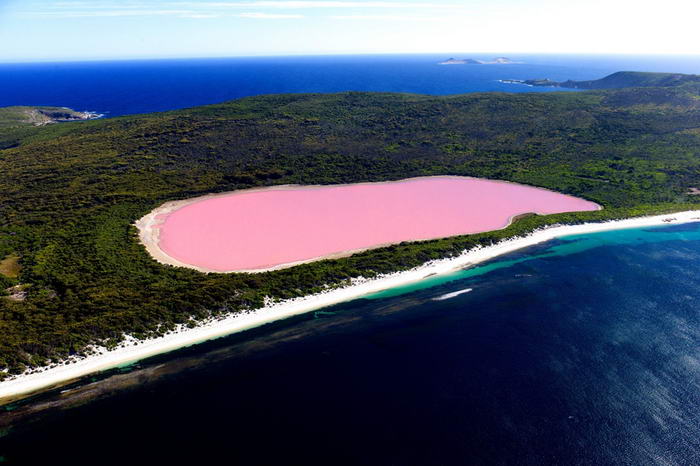 6. Озеро Хиллиер – Австралия. Это озеро примечательно своим ярким розовым цветом. 