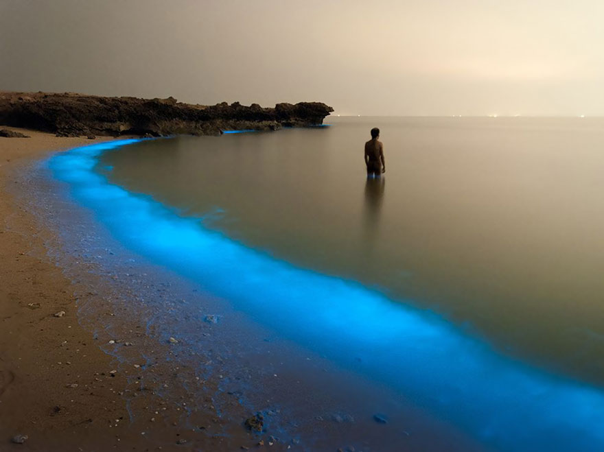 8. Светящийся планктон, Ирак. Фото: Pooyan Shadpoor.