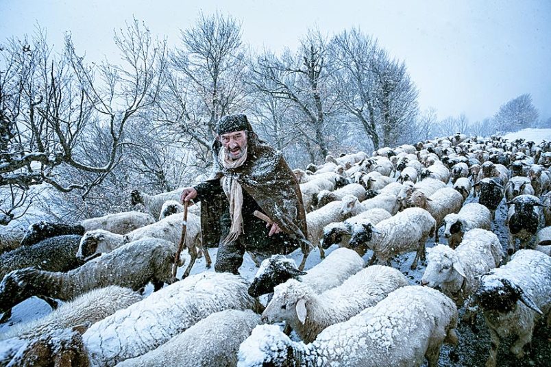 24. Категория: Люди. Старый пастух удивлен выпавшему на севере Ирана снегу. 