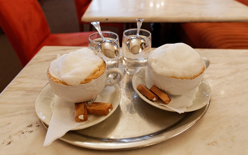 12. Нет ничего лучше, чем посидеть в австрийской кофейне за чашечкой капучино с огромным количеством молочной пены.