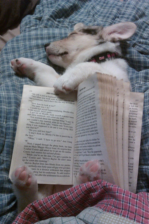 25. Уснул за чтением.