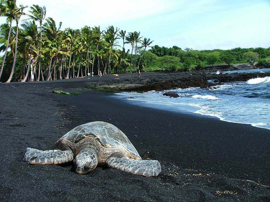 11. Черный пляж Пуналу, Гавайские острова.
