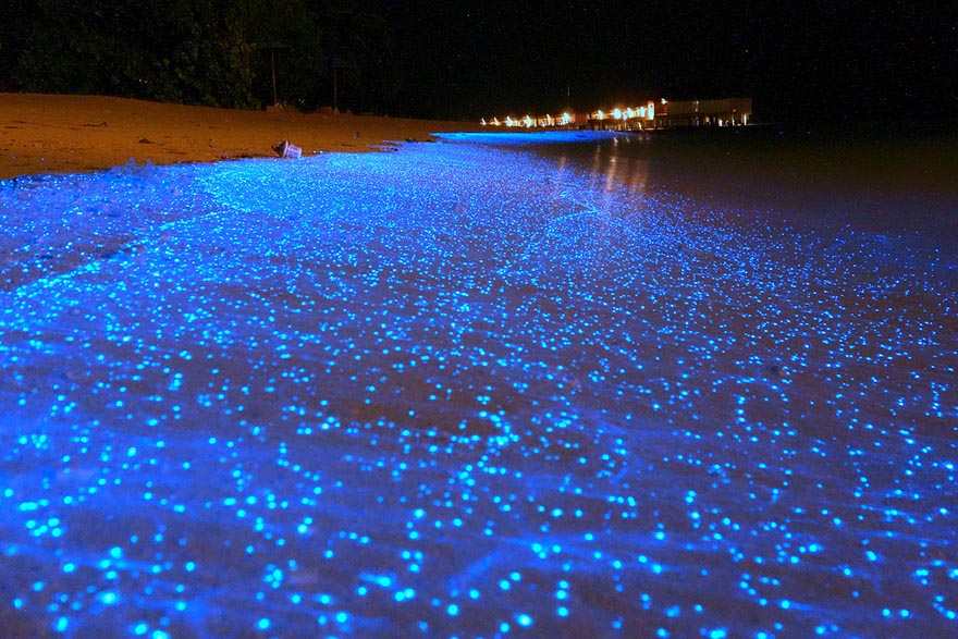 3. Пляж на Мальдивах похожий на звездное небо.