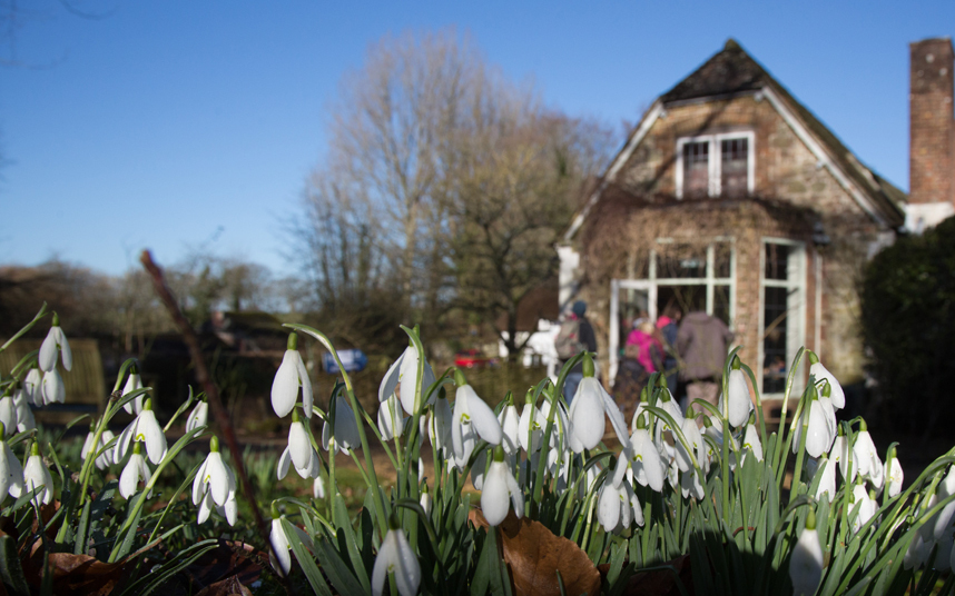 5. Кстати о подснежниках. В 2012 году в Великобритании, садоводы посадили тысячи цветков, в честь юбилея королевы Елизаветы. 