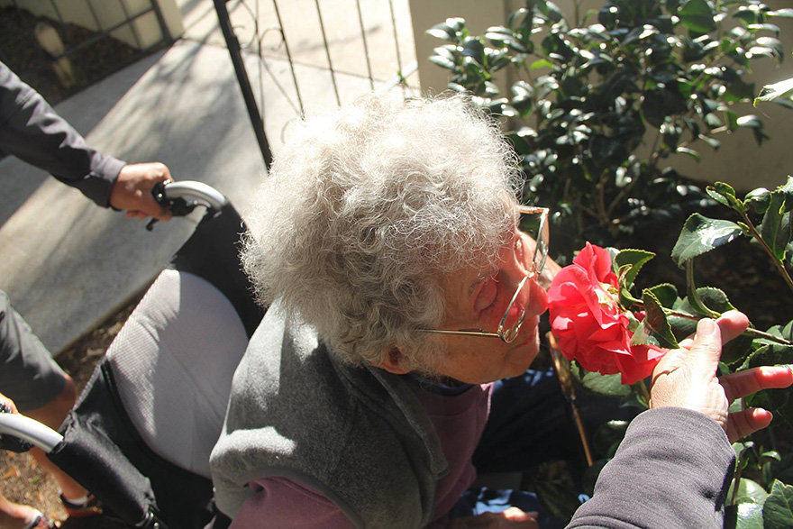 7. Хотя у Нормы сейчас насыщенный график дня, она всегда находит время, чтобы остановиться на минуту и насладиться запахом роз.