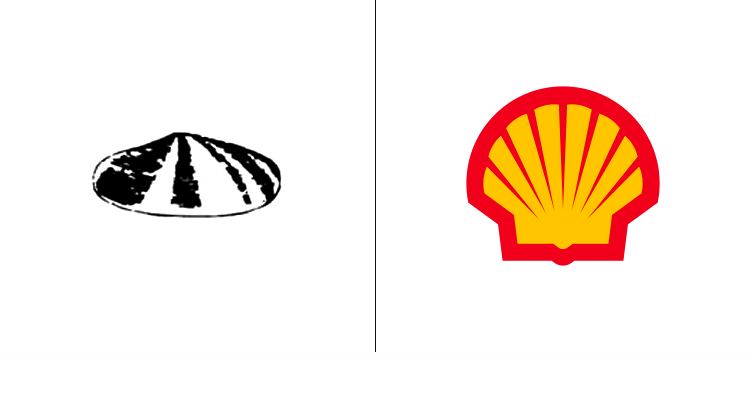 4. Первый логотип Shell был разработан в 1900 году. В последствии компания переработала логотип, сделав его более узнаваемым.