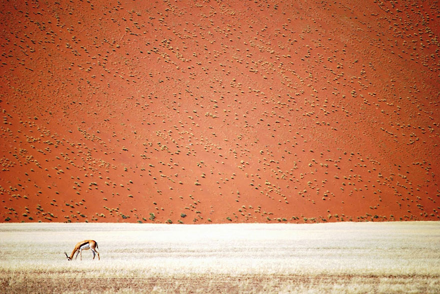 9. «Пустыня Намиб», Намибия,