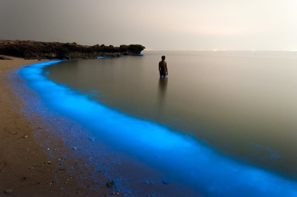 6. «Магические огни» - фото Pooyan Shadpoor, которое он сделал во время прогулки по берегу.