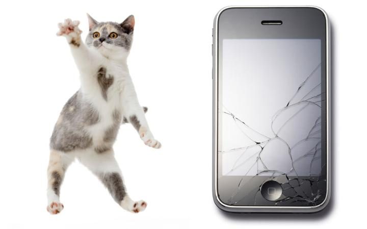 7. Разбитый экран iPhone – проблема довольно частая. Можете убедиться в этом сами, посмотрев на обилие услуг по замене экранов и стекол, ну например как здесь http://iya-yai.kiev.ua/iphone/zamena-stekla. Однако Apple хотела полностью избавить пользователей от проблемы, создав вращающийся iPhone, который, подобно кошке приземляющейся на лапы, приземлялся бы экраном вверх. 