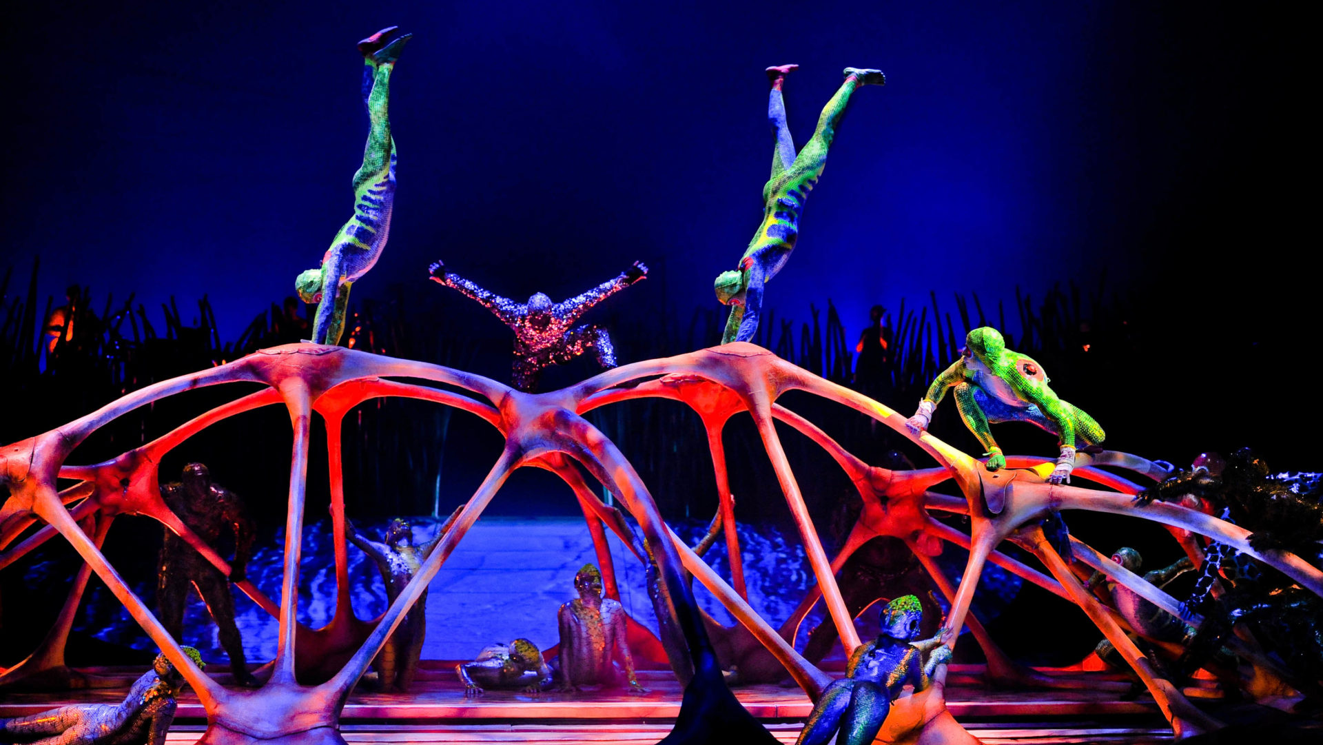 13. Считается, что Цирк дю Солей вдохнул новую жизнь в цирковое искусство.