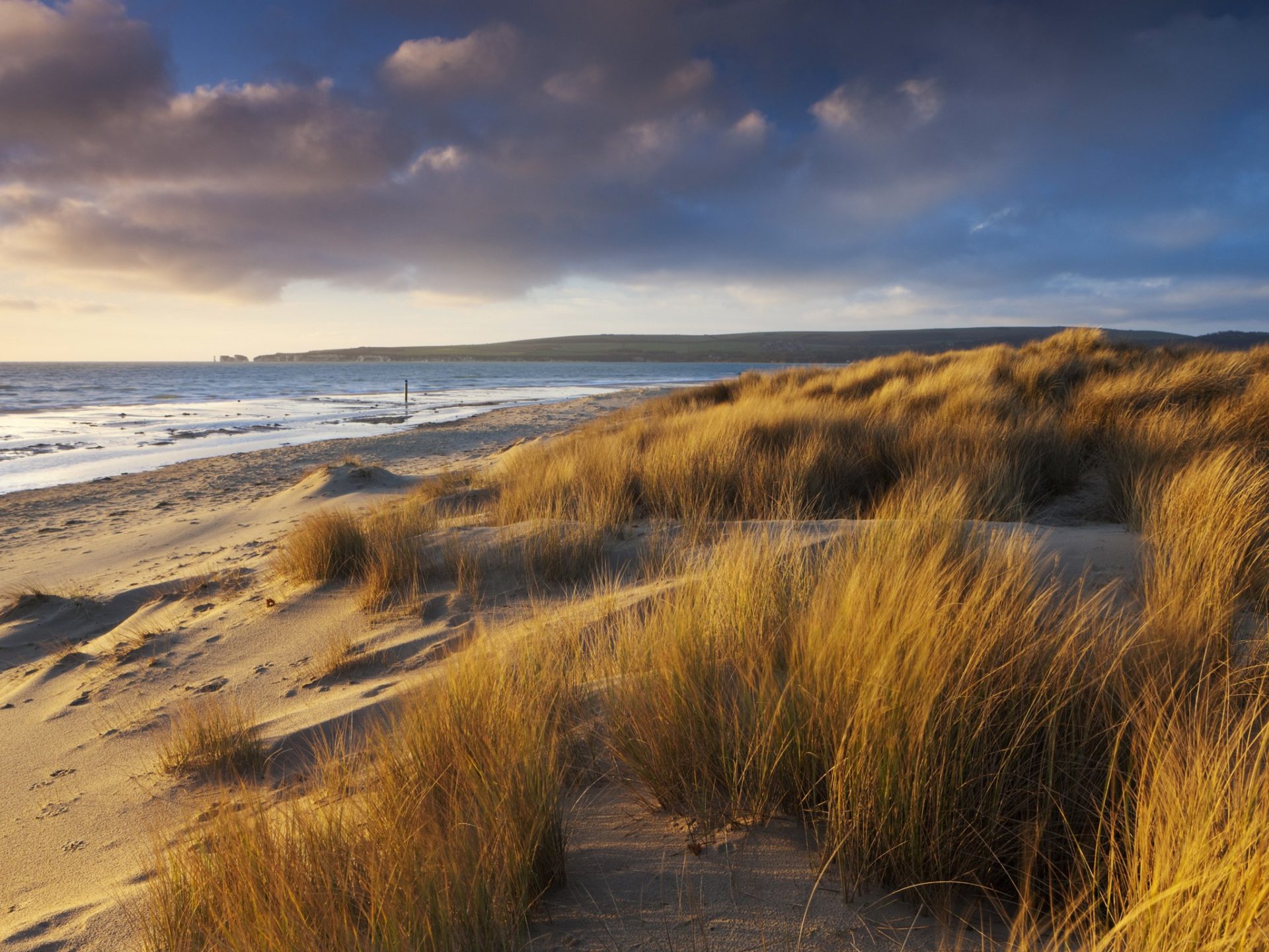 10. Пляж Студленд, графство Дорсет, Великобритания.